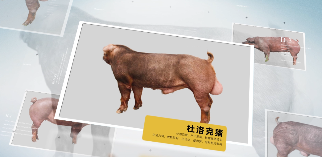 图片2.png undefined